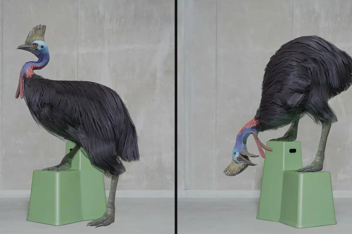 CASUA — Interactive 3D & AR