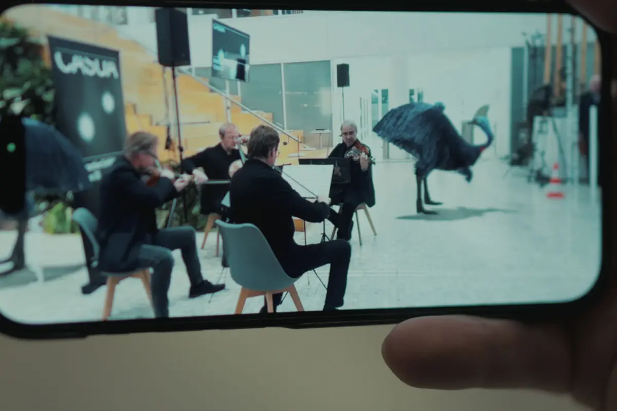 CASUA — Interactive 3D & AR