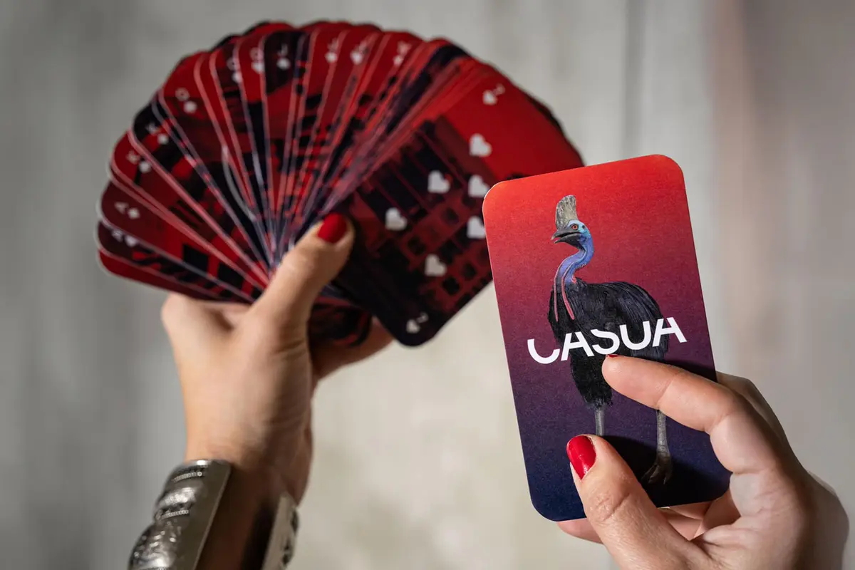 CASUA — Interactive 3D & AR